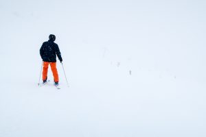 Over trægrænsen er der dårlig sigtbarhed i snevejr // Foto: Troels Kjems