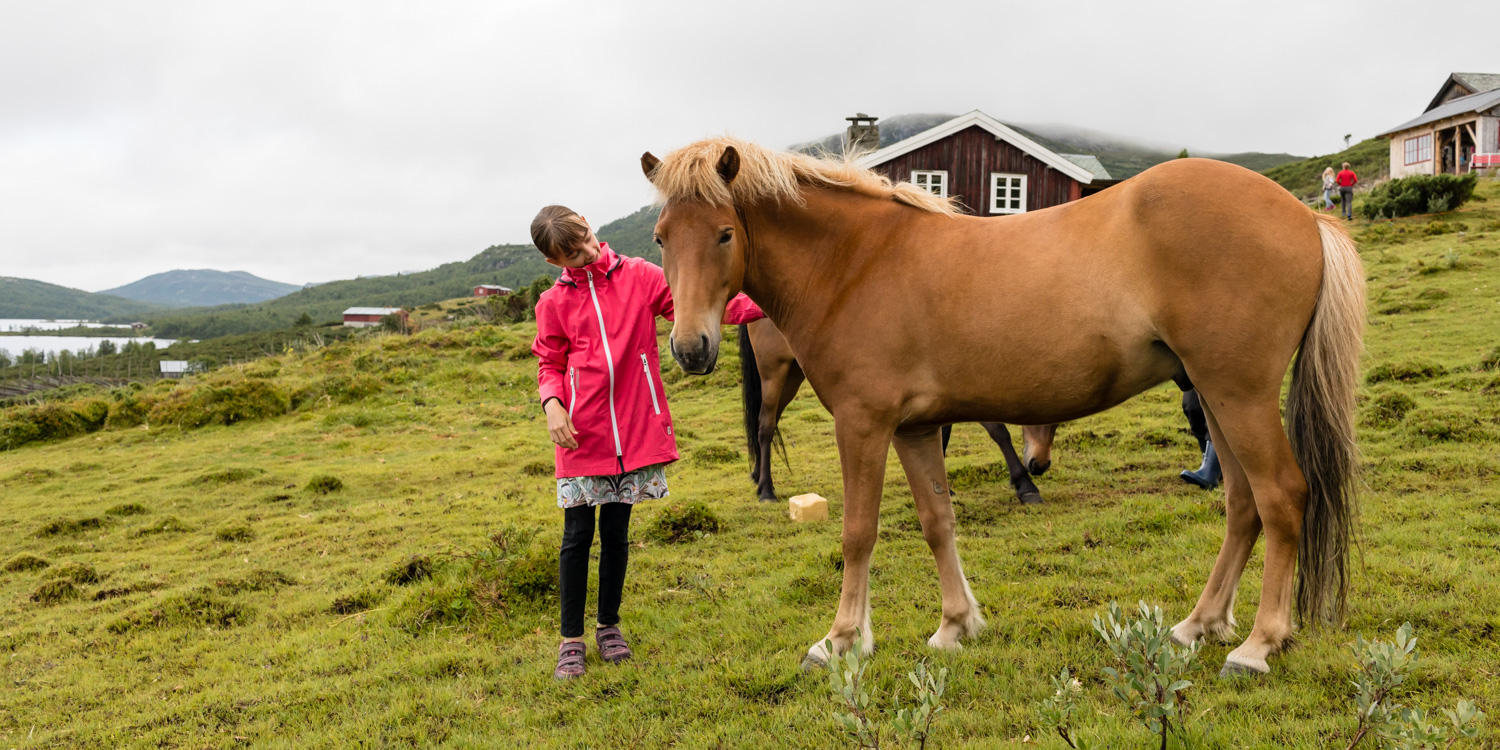 Beitostølen Olestølen