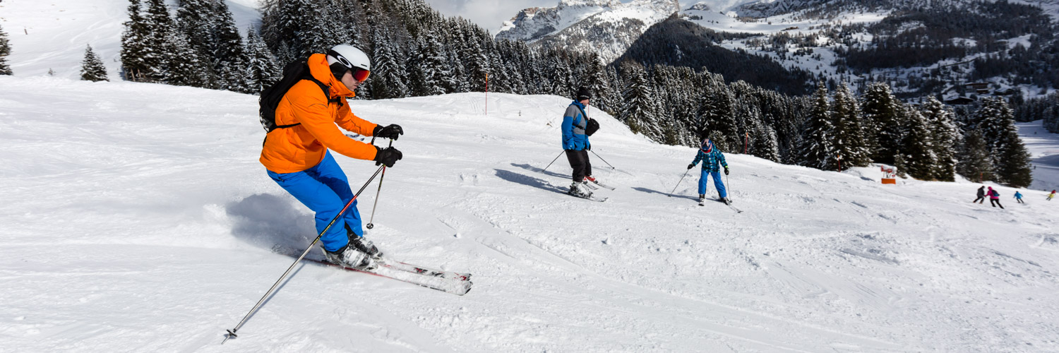 Billige Skirejser