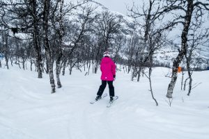 Børnevenligt skovskiløb langs de præparerede pister // Foto: Troels Kjems