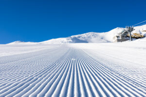 Åben invitation til pistefræs // Foto: Troels Kjems