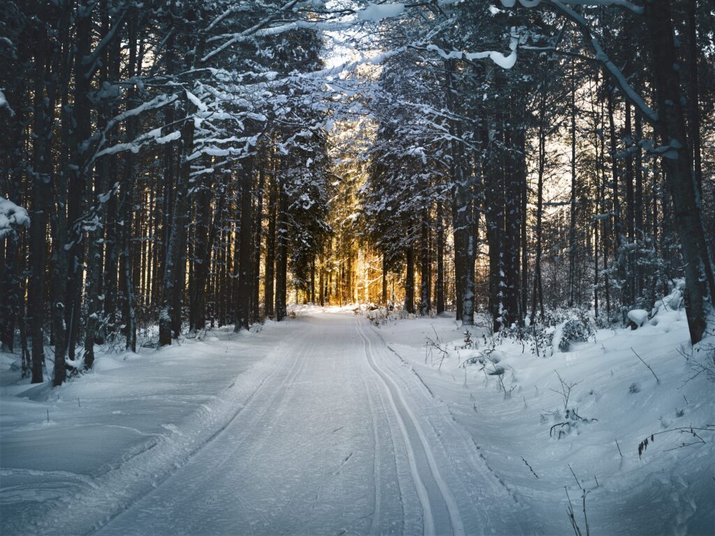 Gode langrendsområder i sverige