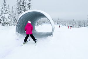 Skicross-banen langs Gustavbacken i Lindvallen // Foto: Troels Kjems