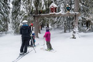 De talende træfigurer i Hundfjällets Trollskogen er kun sjove for børn, der forstår svensk // Foto: Troels Kjems