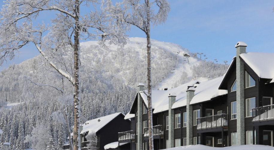 ski in/ ski ud - sverige