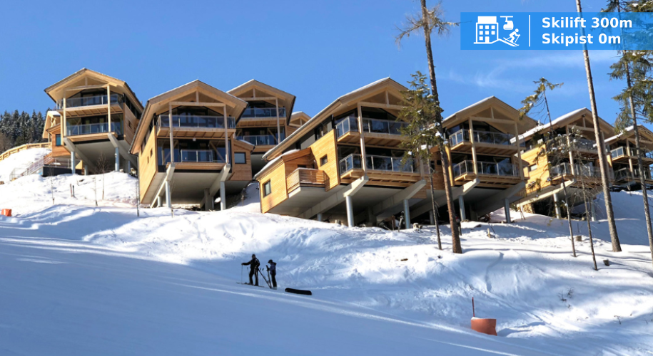 Alpechalet Reiteralm, Schladming