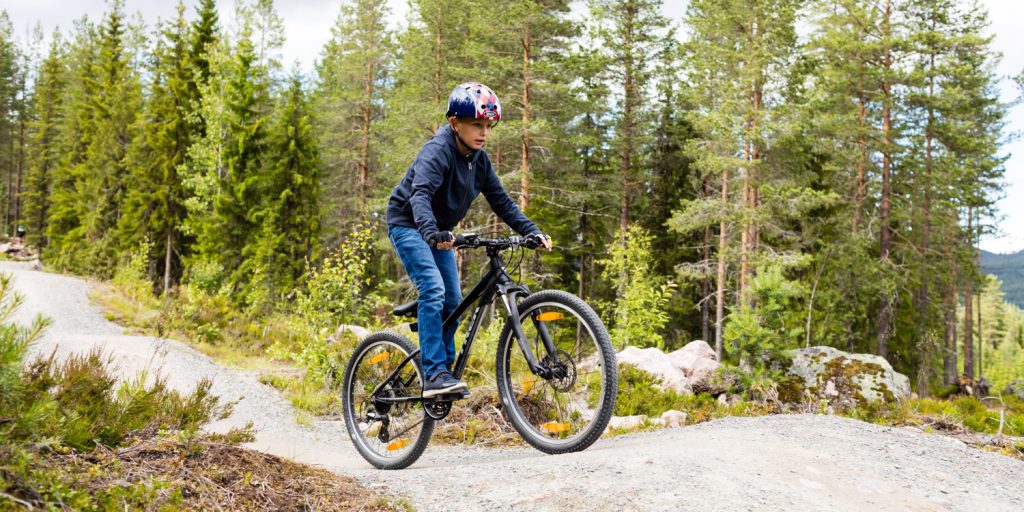 Trysil Gullia Stier