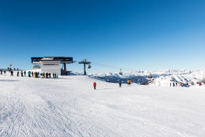 Skiløb over trægrænsen