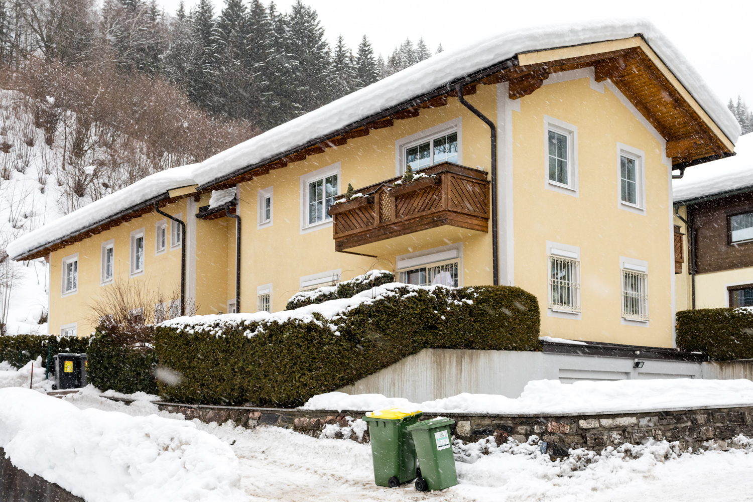 Zell am See Lejlighed Top 3 Fisken